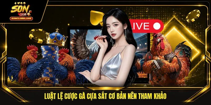 Luật lệ cược gà cựa sắt cơ bản nên tham khảo